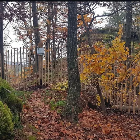 Les - Au Gres Du Marche Frühstückspension 4*