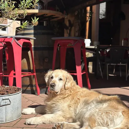 Les - Au Gres Du Marche Frühstückspension La Petite-Pierre